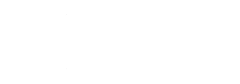 ancillary guru
